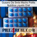 Gusano De Seda Macho Polilla Nutritiva Líquido Oral viagra2